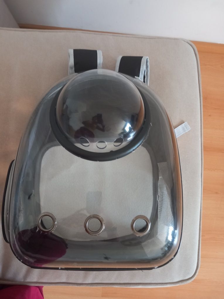 Transportadora animais