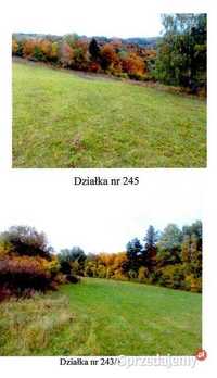 syndyk sprzeda działki w Bieszczadach (Łukowe, gm. Zagórz)  8,3241 ha