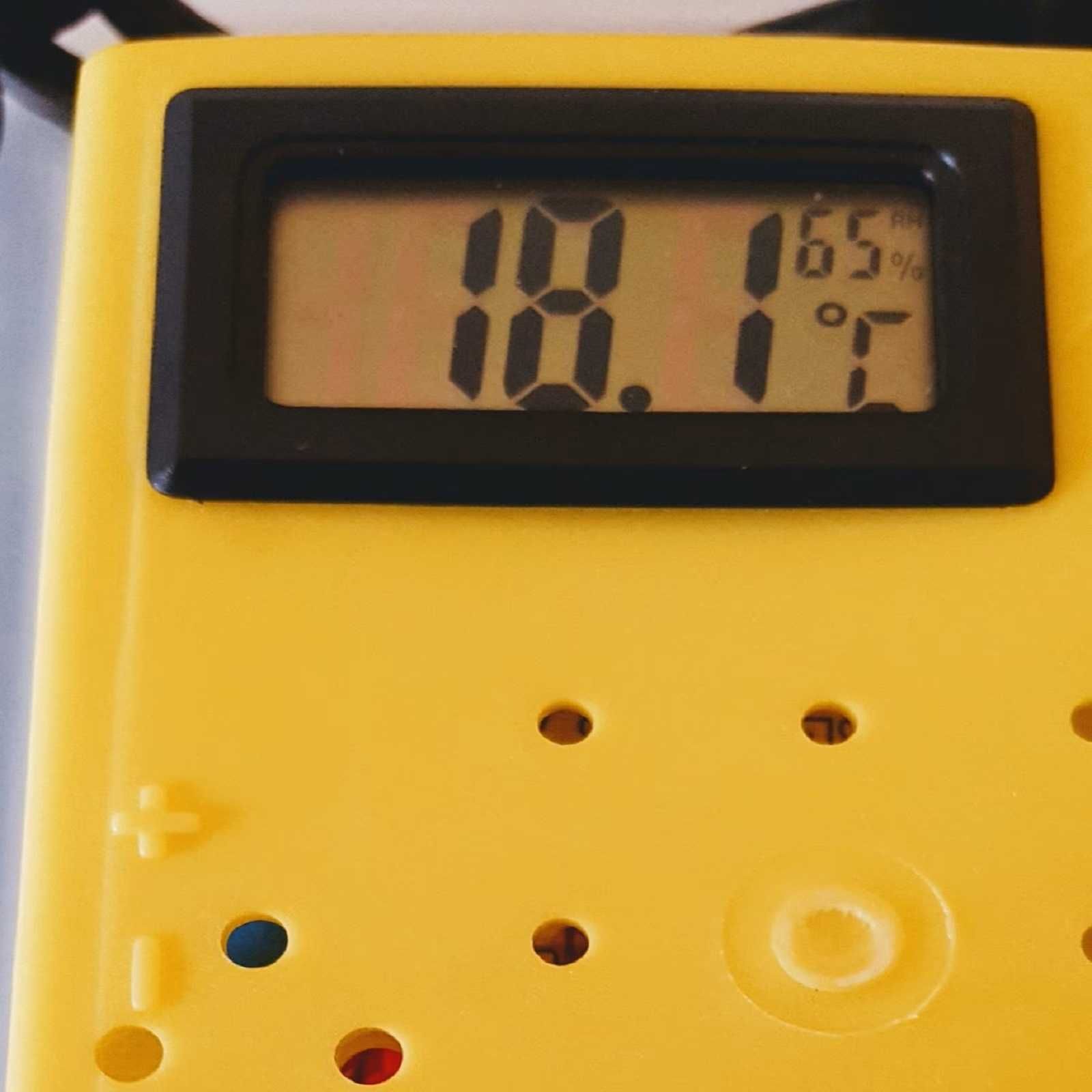 Elektryczny inkubator do jaj CLEO 5 WYLĘGARKA