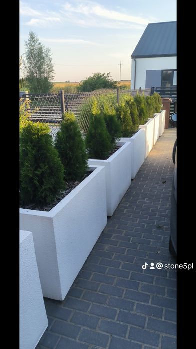 Termodonice każdy wymiar... Podwyższone grządki
