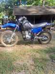 Sprzedem crssa 250