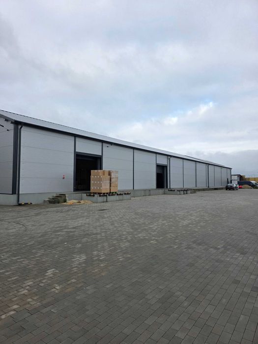 Hala magazynowa do wynajęcia
