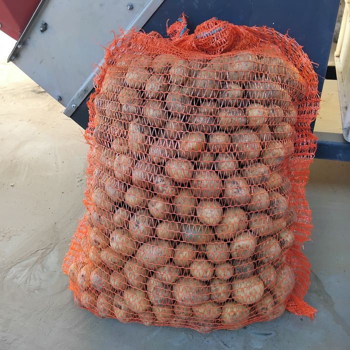 Ziemniaki paszowe odpadowe