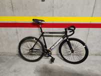 Bicicleta Poloandbike Williamsburg