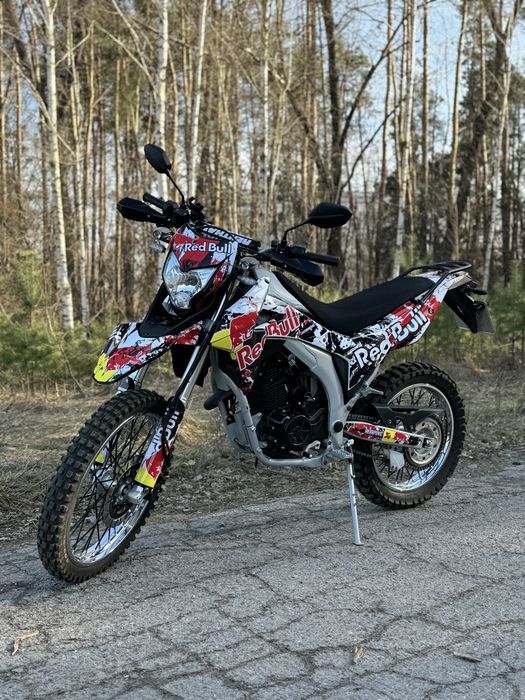 Лось 250