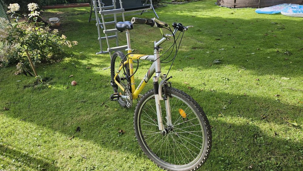 Rower Giant  Rama 17