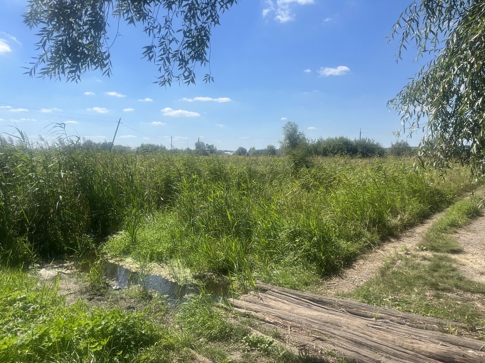 Земельна ділянка в Дергачах