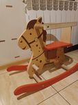 Konik na biegunach