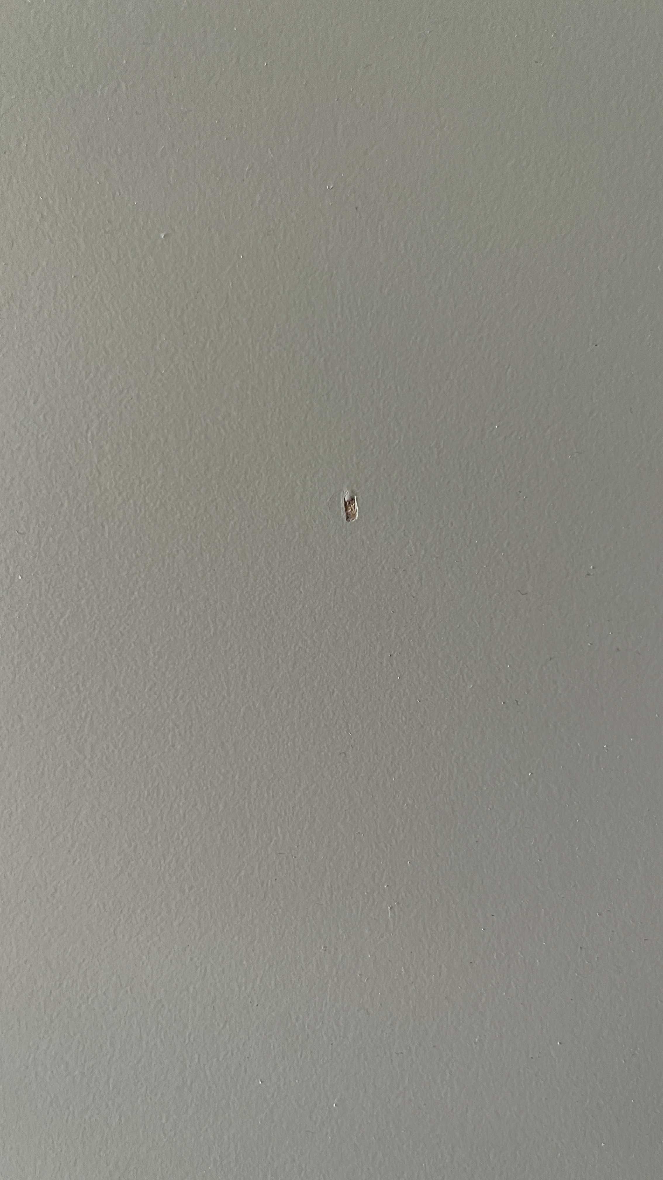 Blat Ikea Trotten, 160x80, beżowy