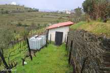 Terreno  para venda