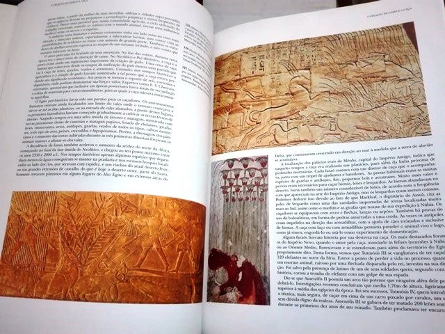Ramsés II, Biblioteca Egito (Novo)