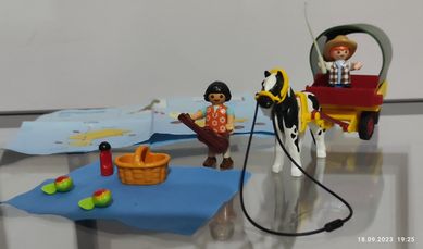 Playmobil Piknik z kucykiem( 6948 )(5686)