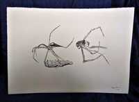 Desenho Tinta China Insecto Roger Uttama 3