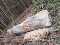 Drewno kominkowe, opałowe BUK