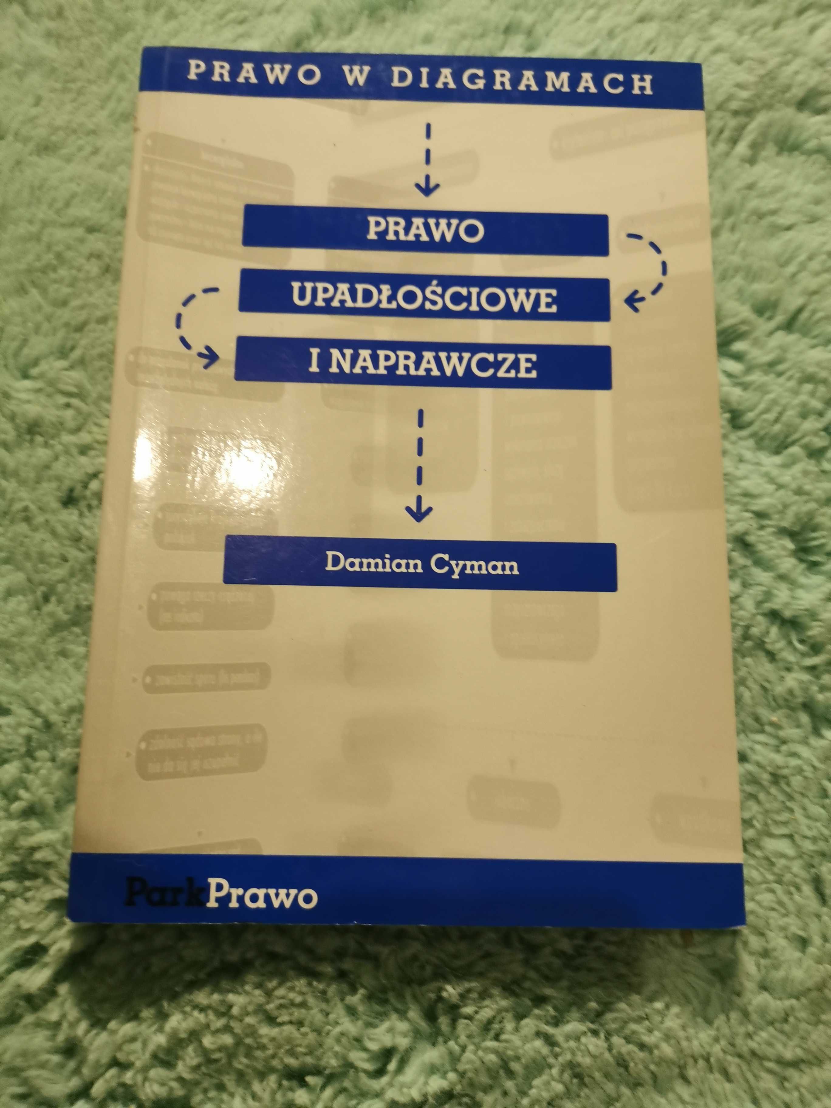Książka Prawo konstytucyjne