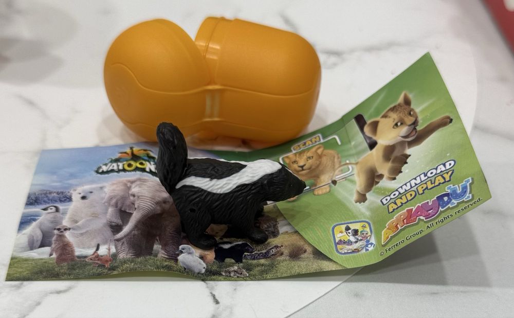 Кіндер натунс обмін, скунс