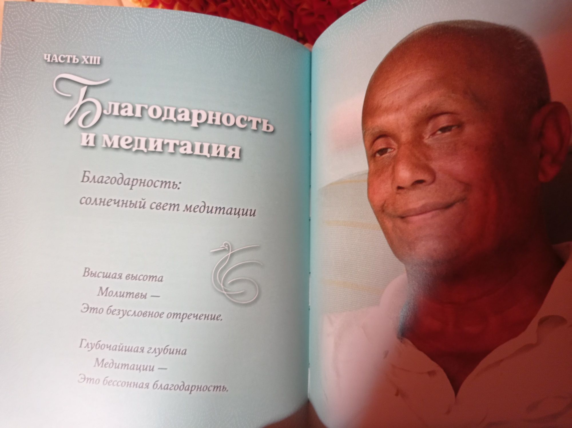 Благодарность. Sri Chinmoy