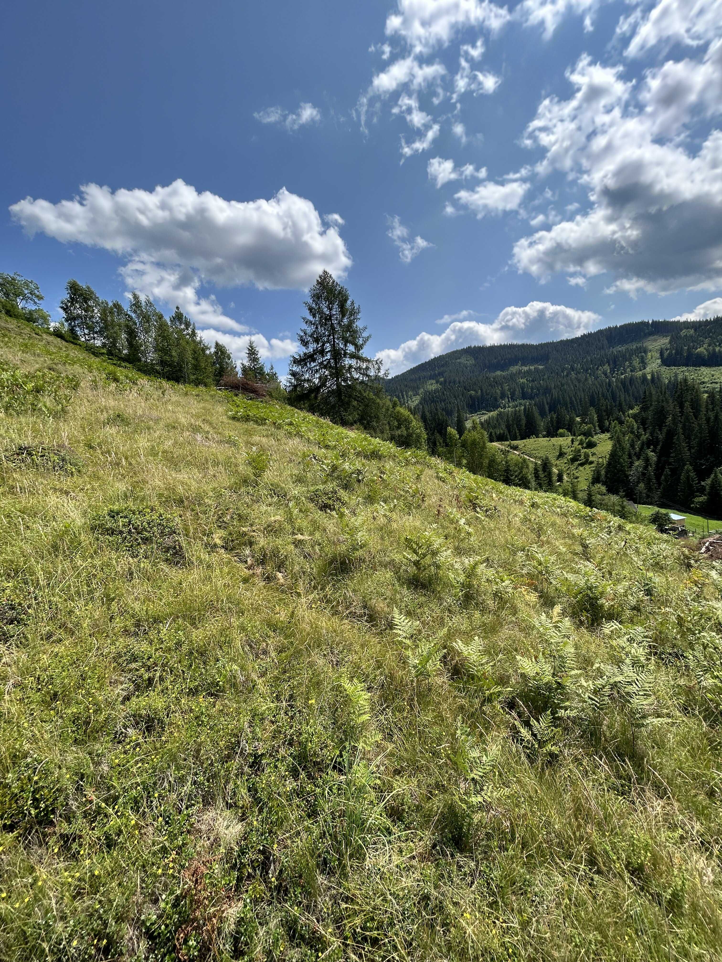 Продаж земельної ділянки в Карпатах з водою та електромережою