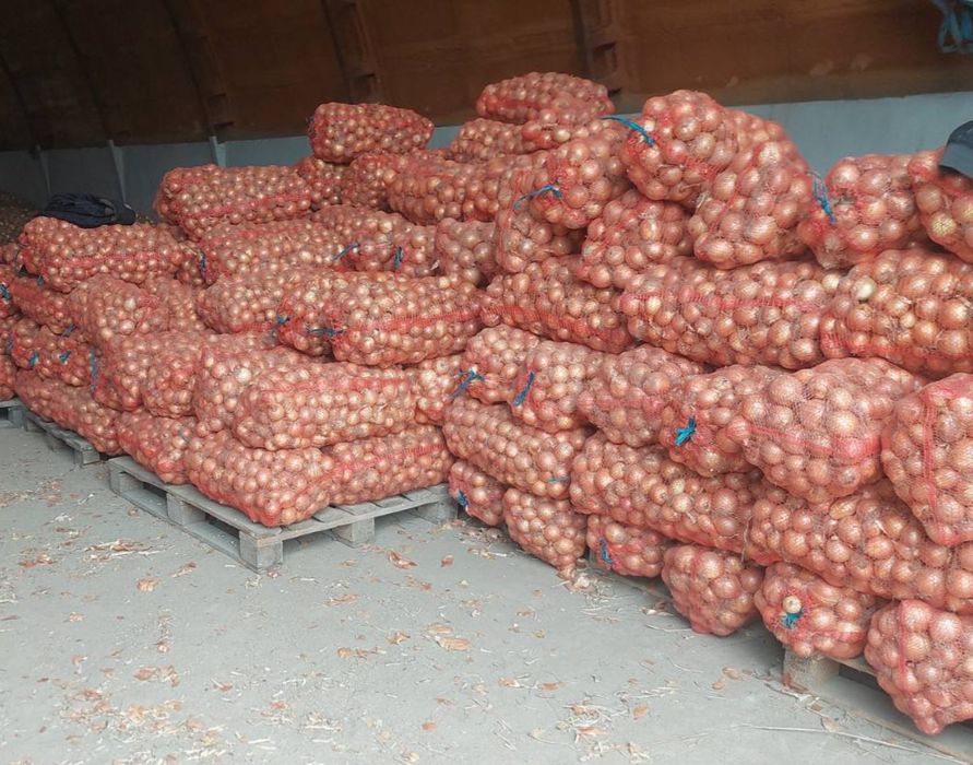 Продам цибулю  смачну