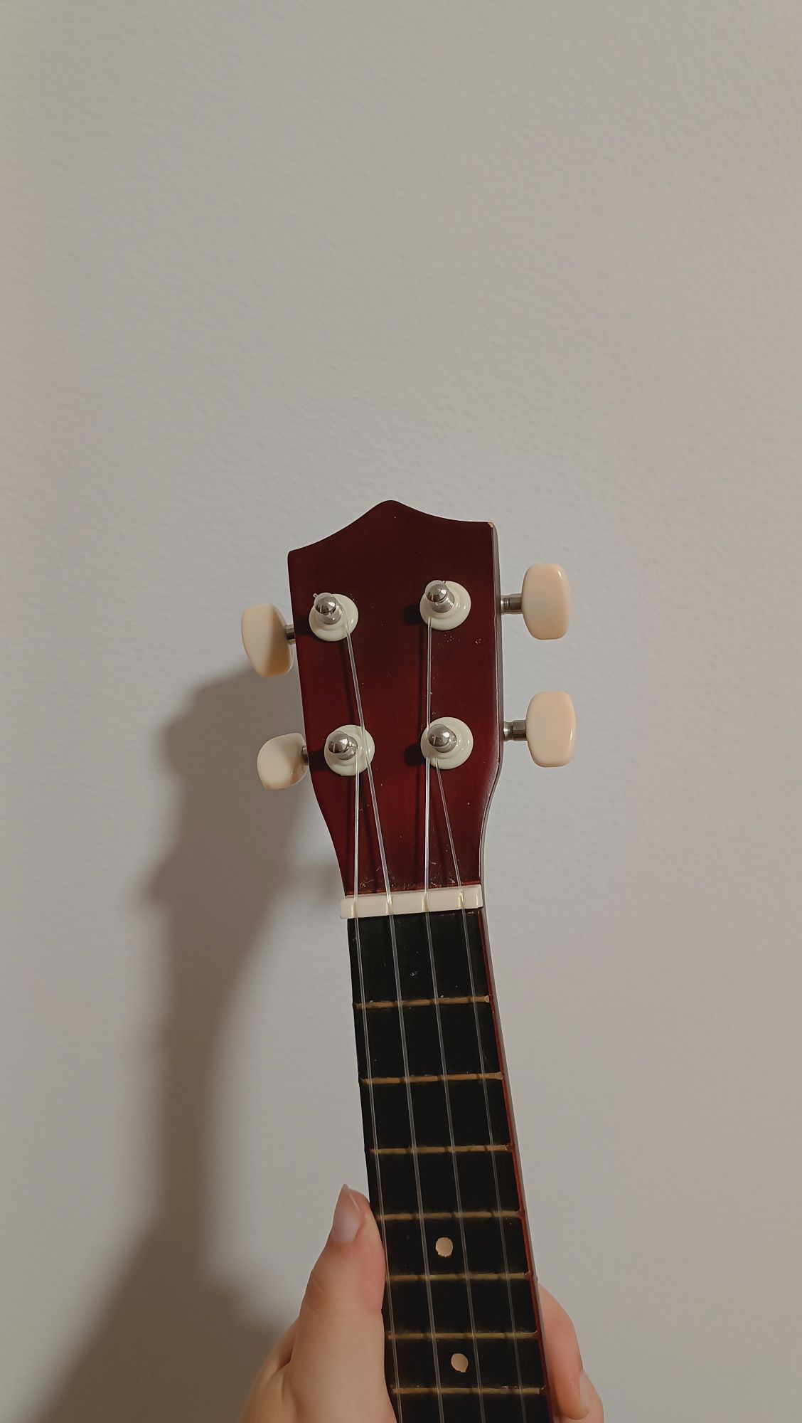 Ukulele castanho-escuro + CD guia + Manual + Caixa original