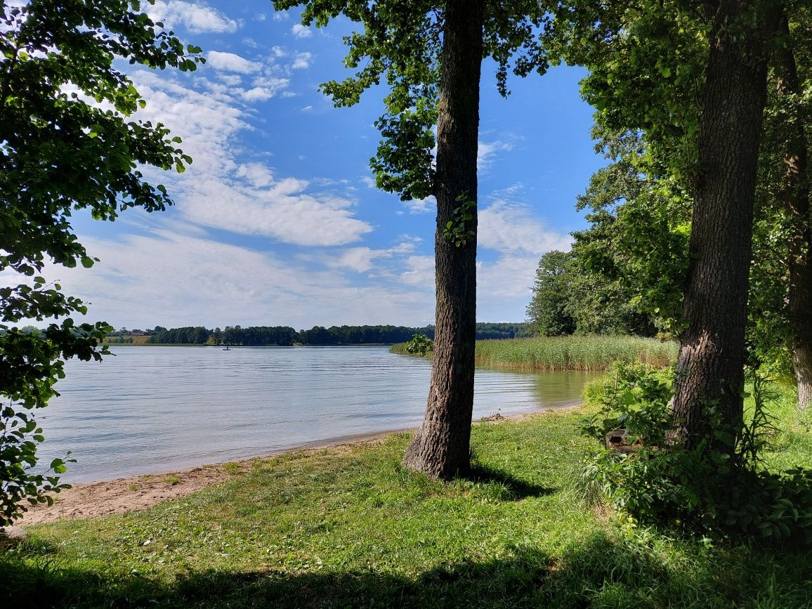 Domki Ryn Mikołajki Mazury jezioro i las