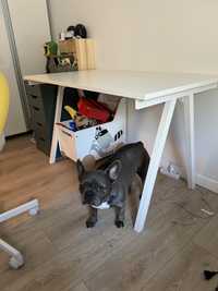 Biurko Trotten Ikea 120x70