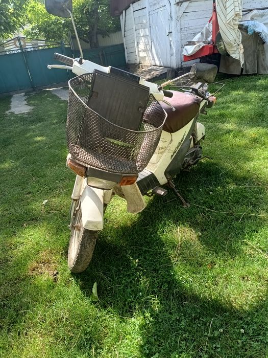 Мопед Suzuki Molet