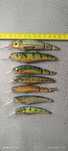Woblery Morel Team nie Salmo Rapala