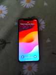 iPhone 11 POLECAM
