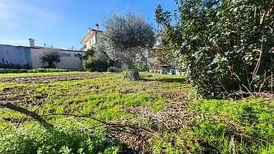 TERRENO PARA CONSTRUÇÃO - REPESES VISEU