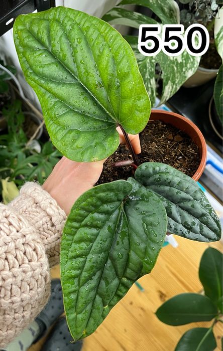 Обмін або викуп)