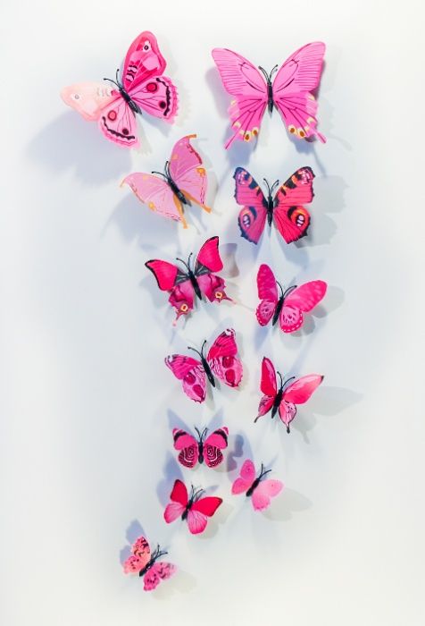 Conjuntos de 12 borboletas