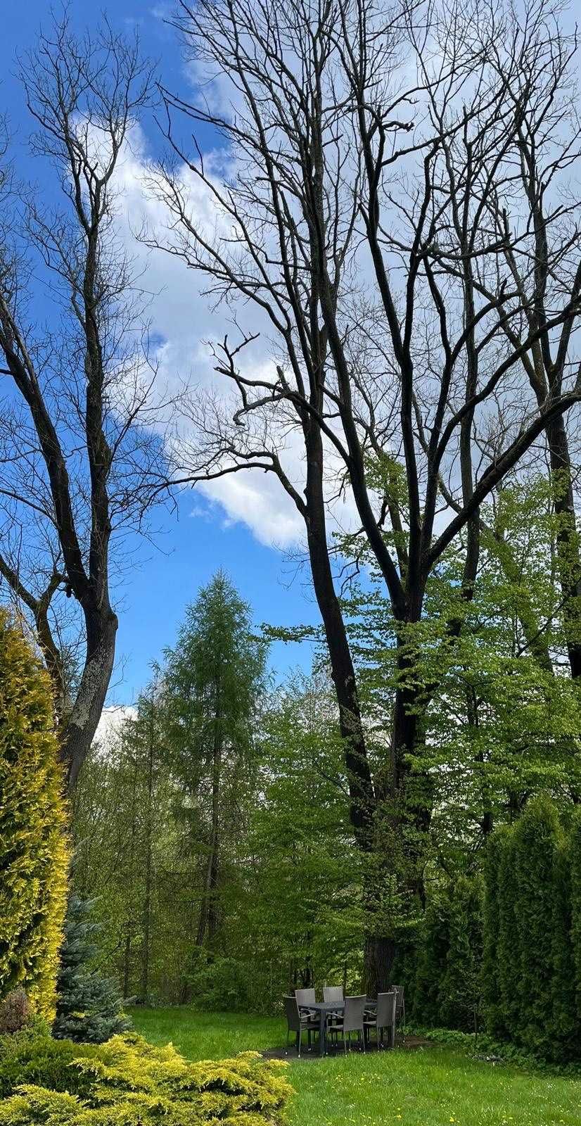 Przytulny domek całoroczny w cichym miejscu w górach.