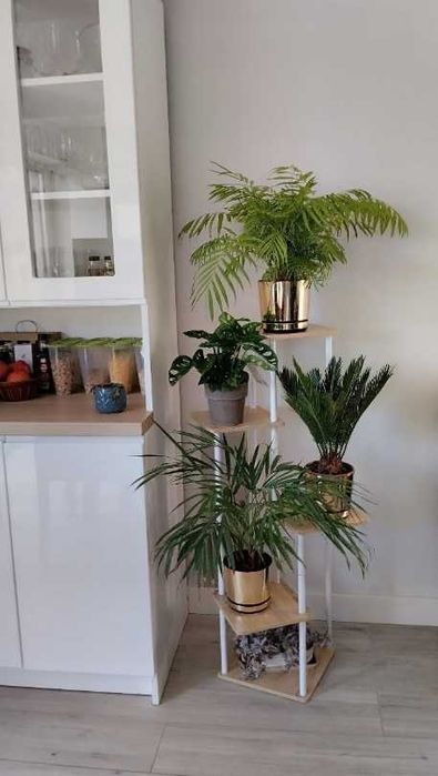 Kwietnik stojący metalowy stojak na kwiaty 5 donic