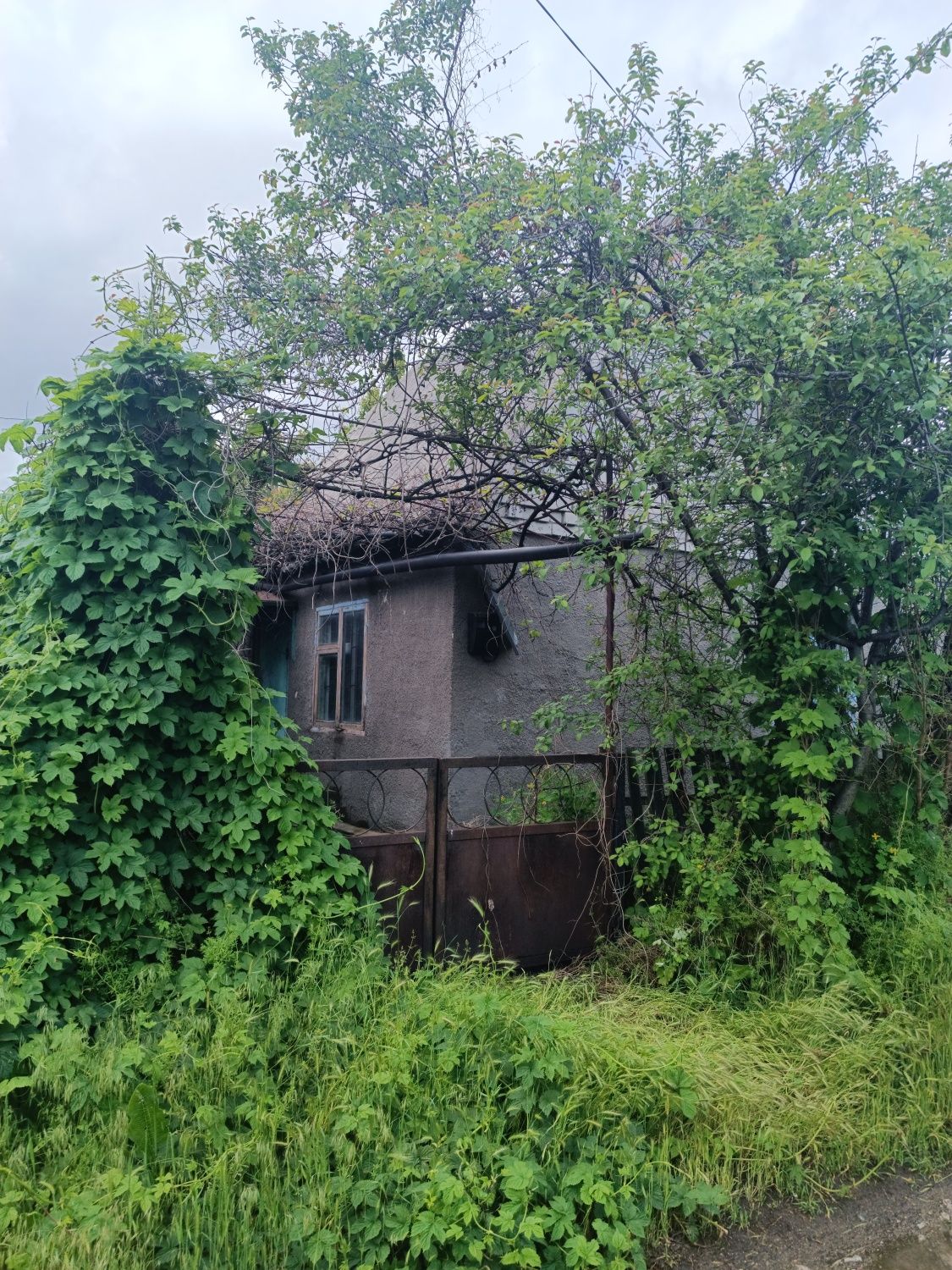 Дача в СТ "Мрія", р.Сомівка! Петріківський р-н, заповідник!