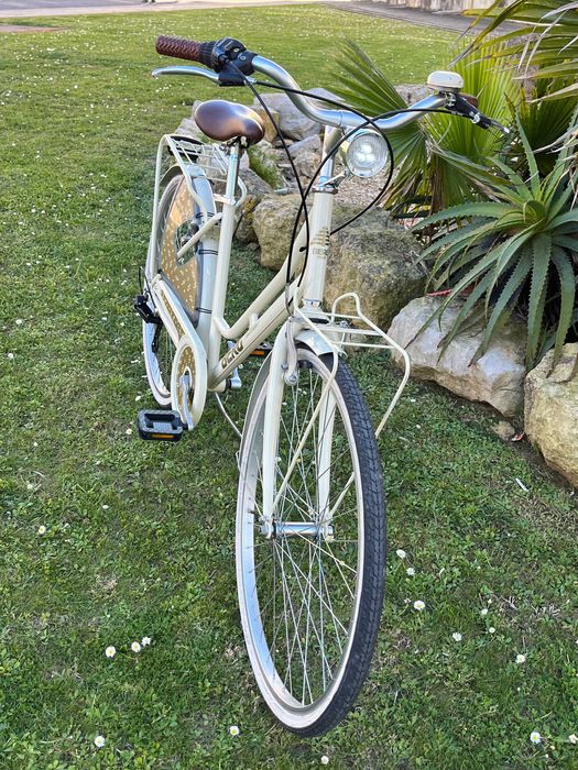 Bicicleta pasteleira moderna feminina