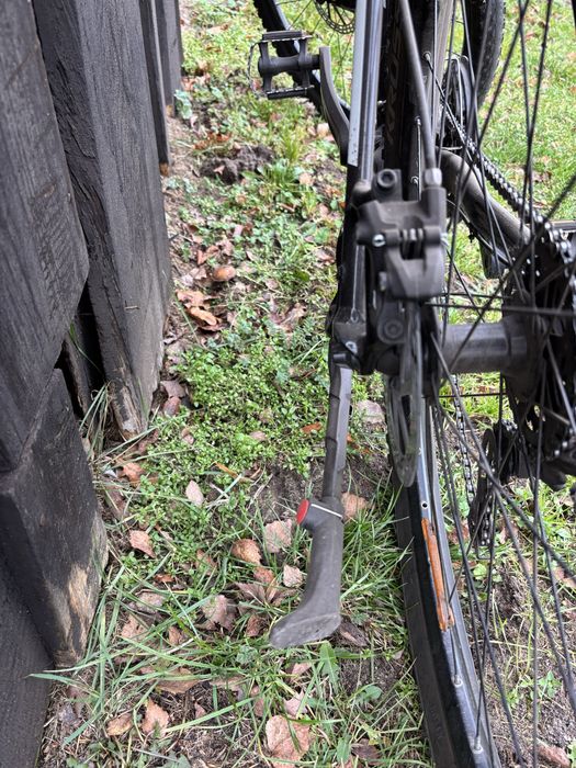 Rower Kross Esprit 3.1