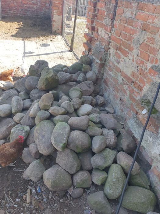 Duży kamień polny otoczak