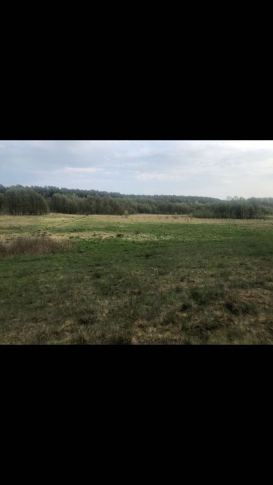 Działka blisko jeziora wieck pomorskie nad jeziorem