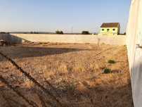 Vende-se Parcela de Terreno com 629,36 m2 em Pego - Abrantes