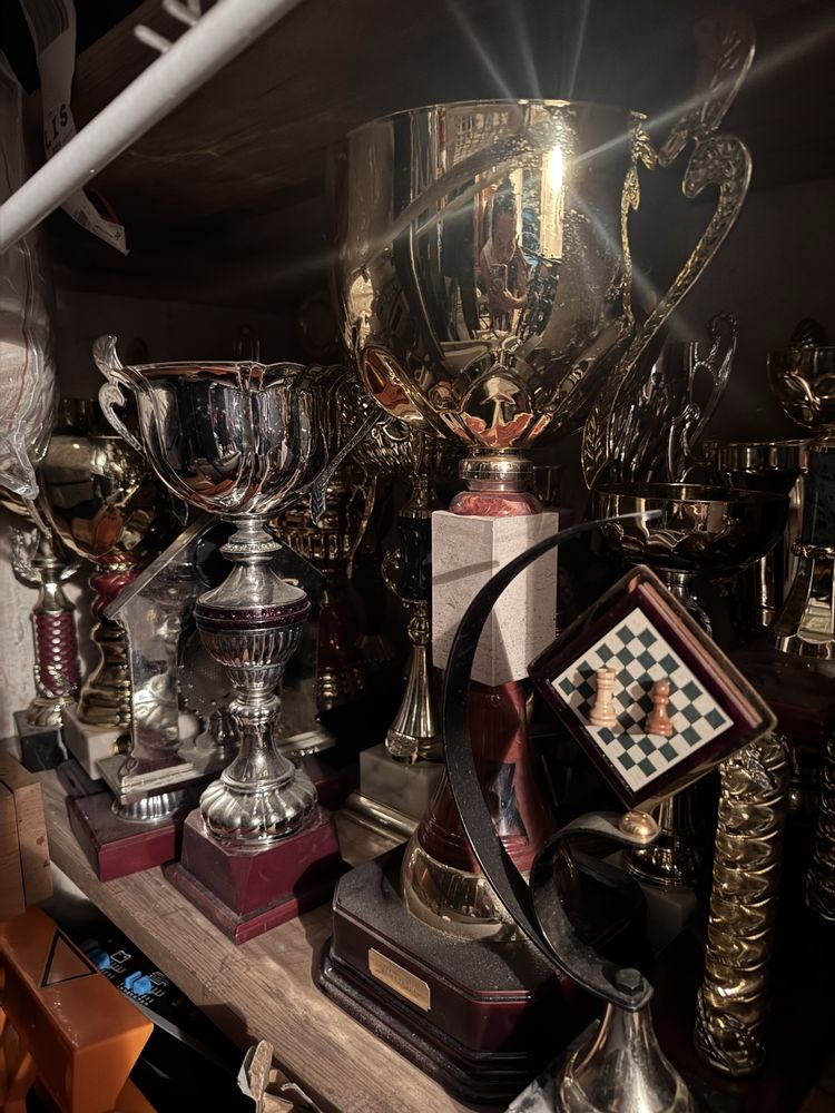 Trofeus de xadrez