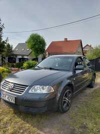 Volkswagen Passat B5 Zadbany