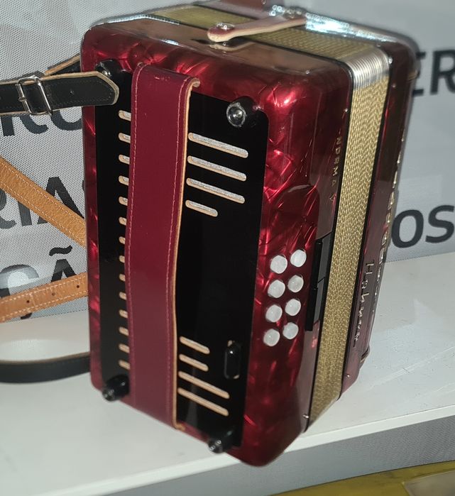 Concertina hohner 4 voz