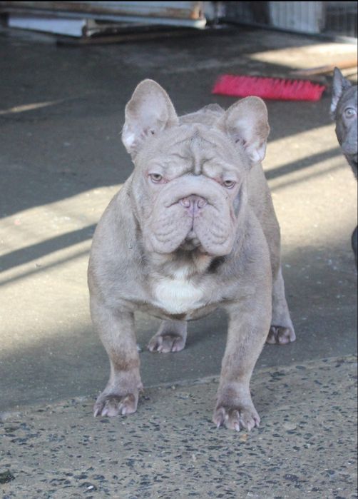 Красені підлітки