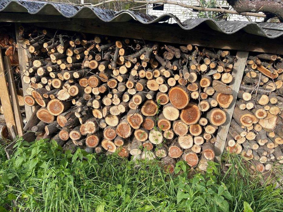 Продам сухі ДРОВА фруктових дерев