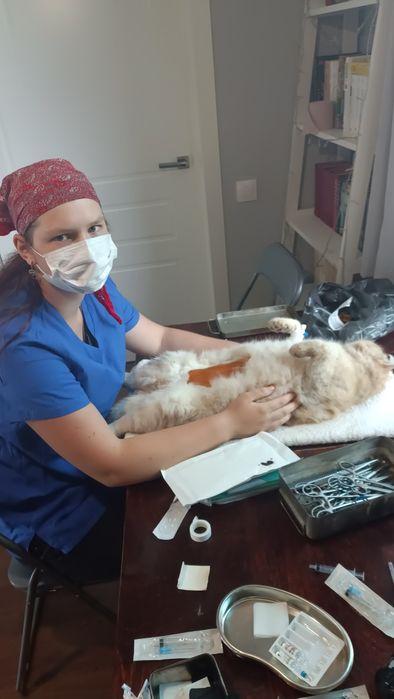 Ветеринарний лікар на дім