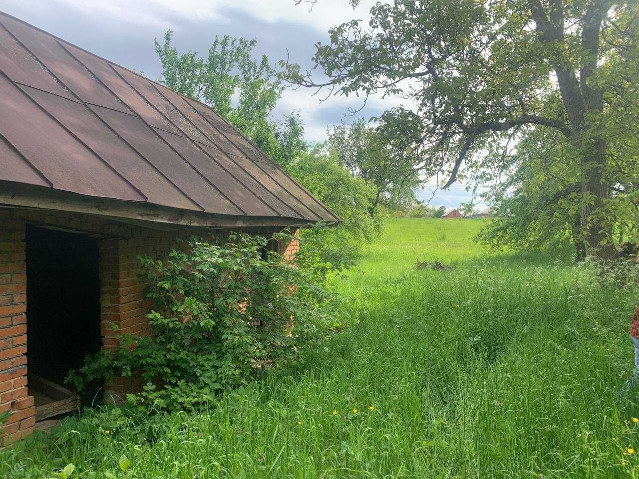 земельна ділянка поруч з лісом