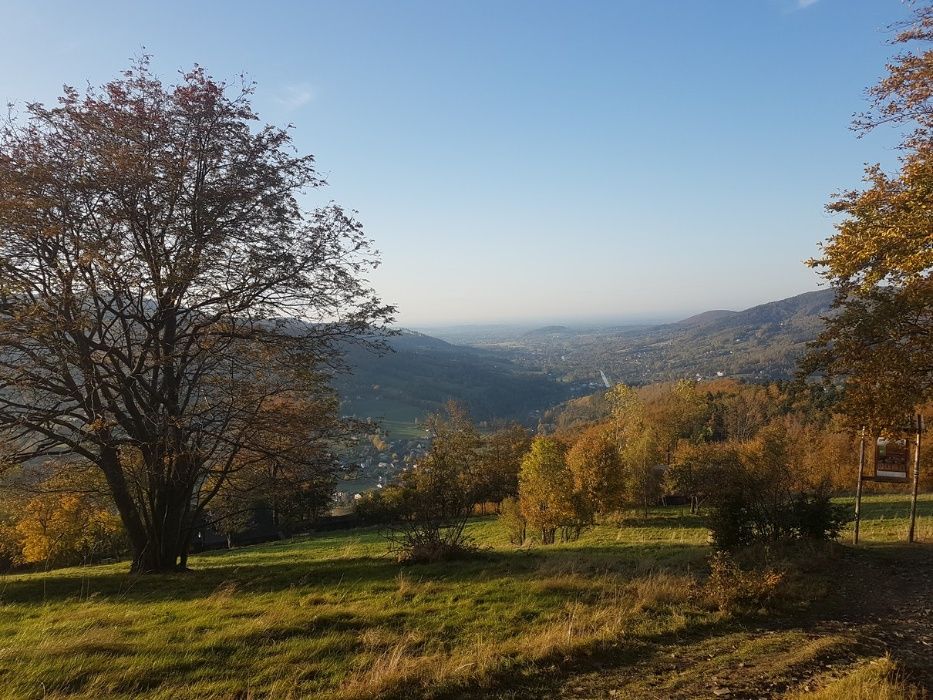 Pokoje do wynajęcia "U Wolfów" Górki Wielkie gm.Brenna