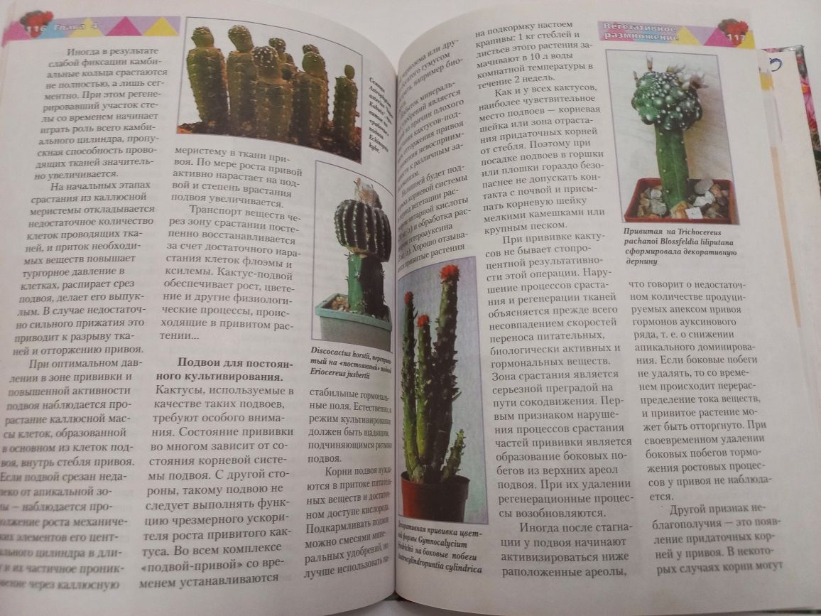 Секреты выращивания кактусов 2001г. С.Г.Батов,  В.Н.Гапон