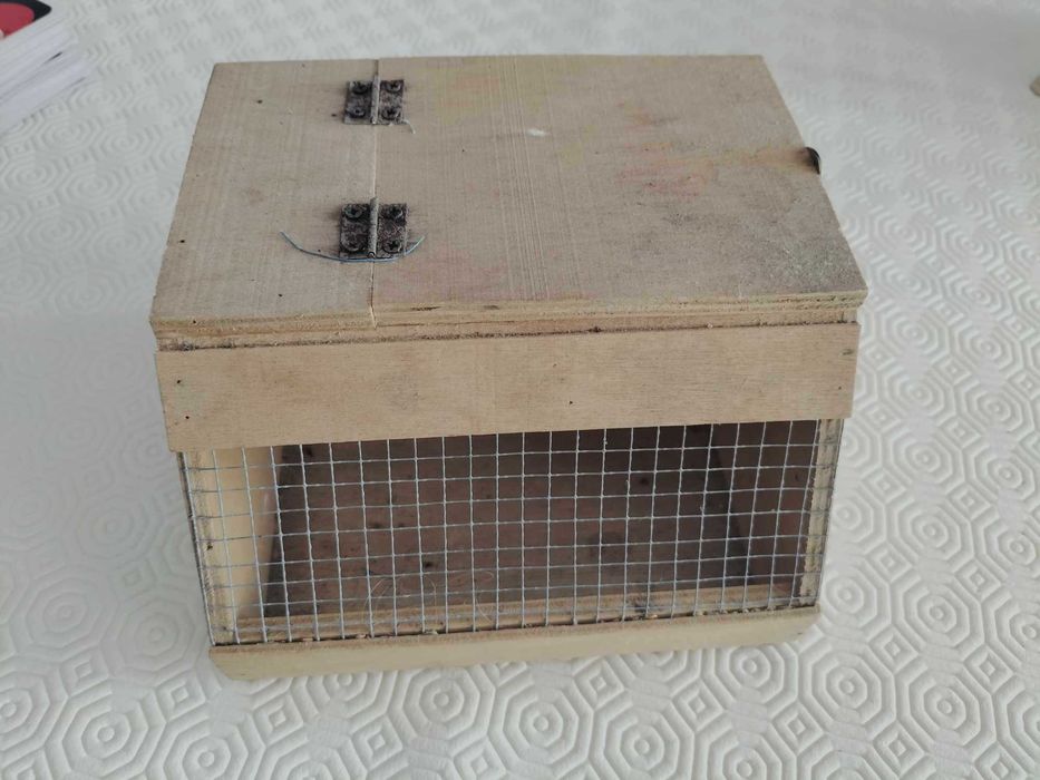 caixa de transporte para aves e roedores